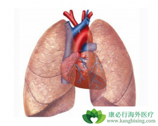 �ζ�����ѹ�ĳ���֢״��������Щ��