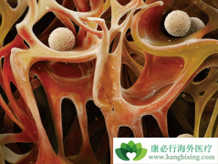 ���������κ����������Ƕ��٣�