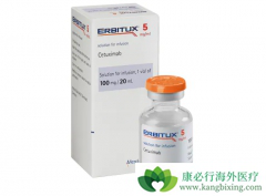 �й������������Ŀ�EGFR����������������