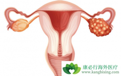 ��Ӧ�����ѳ��������Ƶ�ҩ������Щ��