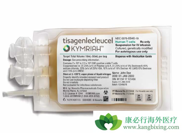 CAR-T细胞免疫疗法 CAR-T细胞免疫疗法