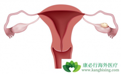 �������������ѳ�������ҩ������ͬ������Ҳ������ͬ