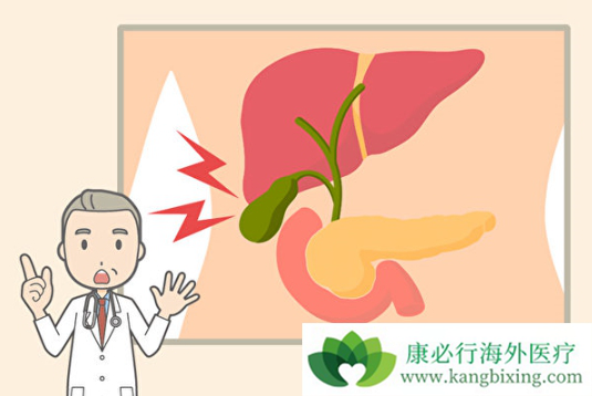 吉西他滨 吉西他滨