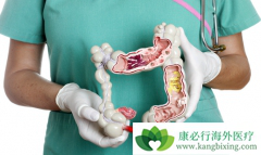 �᳦�������ܻ���ȡ������Щ���棿