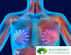 ���ٰ����Ƶļ���Ӧ�ñ�׼���Ǿ�׼��