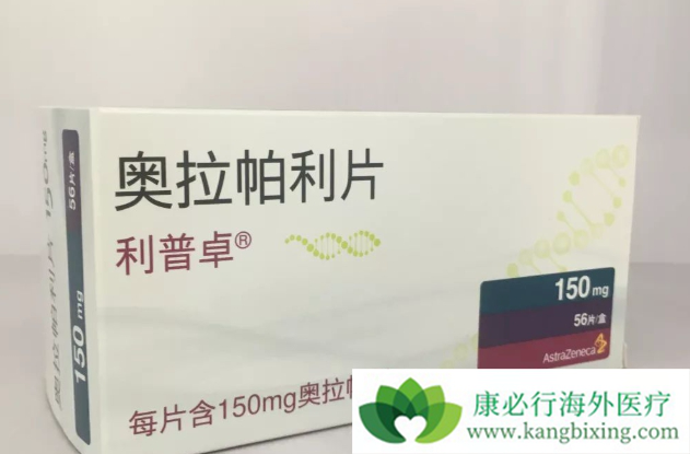 PARP抑制剂 PARP抑制剂