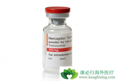 HER2�������ٰ�����ʹ�ú���͡��������ѡ������