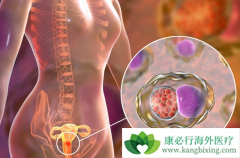 �����۰����ߵ�����Ԥ�������������͵Ĺ���������