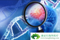 ��������ײ�������ô��ɱ���԰�ϸ���ģ�