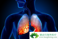 �ΰ��۰�����׼��ʹ�ð���ҩ��֮ǰ��Ҫ����������