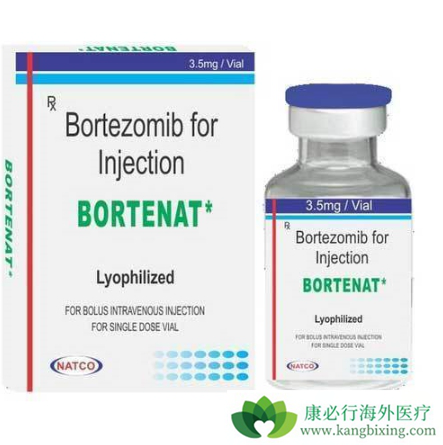 硼替佐米 硼替佐米