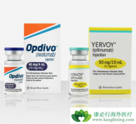 ��֢�����Ʒ�PD-1��PD-L1����α����ֵģ�