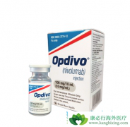 PD-1���Ƽ���PD-L1���Ƽ��ĸ����бȽ��磿