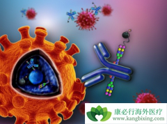 �������������֯�����е�֬��������Ч��