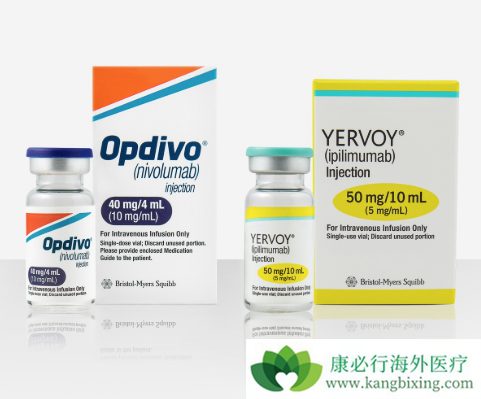 CTLA-4Ƽ