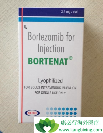 硼替佐米 硼替佐米