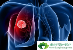 �ΰ����Ƶ��µ�ѪС�������ô�죿