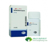 ��̹(sunitinib)�ܸ����������ڷ����������ߵ��޽�չ����ʱ��