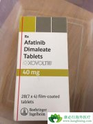 �����ΰ�����ҩ�ﰢ������(Afatinib)������Щ����֮����