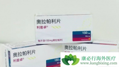 ���������������ǰ���ٰ���Ǳ�ڱ�־����ʲô��