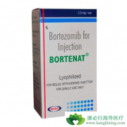 ��������(Bortezomib)���ƶ෢�Թ��������������������