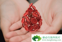 ��Ѫ������֢״����Щ�����������������ڰ�Ѫ����