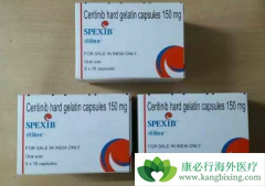 ɫ������ΪALK����NSCLC�ĺ��������ṩ�˸���ѡ��