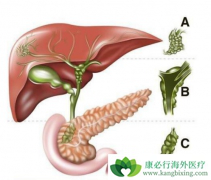 ��ɼ���Ӽ���������������Ϊ���ڵ��ܰ����������