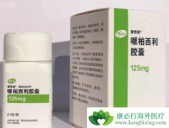 CDK4/6���Ƽ��߰����������ٰ����Ƶ��ذ�ҩ��֮һ