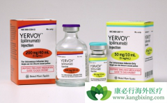 ��ƥ����(Yervoy)�����Ʒ����ƽ�ֱ�������ߵ���Ч��ô����