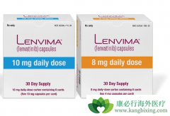 �ַ�����/�ط������ս�����������һ���������ڸΰ��ĵ�λ