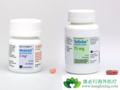 �����������������������ǰ���BRAF��MEK��ֱ�����ı�׼�Ʒ�