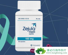 PARP���Ƽ�����������ҩ���Ӱ���������Ч����