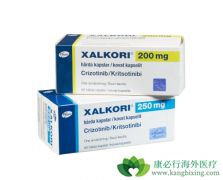 ������������ROS1���ԵĶ�������NSCLC���ߵ�������������