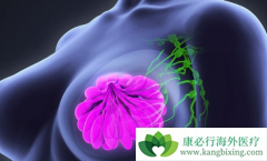 ��Ī���ҿɽ������ٰ��������󸴷���ת��