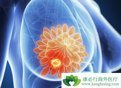 ���Ԥ�����ٰ�������ǰ���Ӱ������Ƶ���Ч��