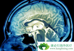 ������֢״����ȡ����­�������Ĳ�λ