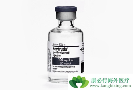 免疫治疗 免疫治疗