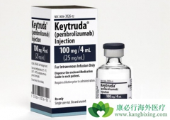 �������鵥�������������������ƻ���һ�����Ʒ�Сϸ���ΰ�