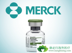 PD-L1����͵ķΰ�����Ҳ��һ��ʹ���������鵥������