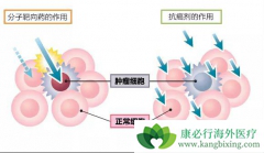 �������ڷ�Сϸ���ΰ��ķ��Ӱ�������ҩ������Щ��