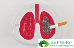 �ΰ���Ⱦ�����Ʒΰ��ķ�������Щ��