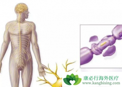 ʲô�ǹ�����ά�������ֹ��˺�Ӧ��������ƣ�