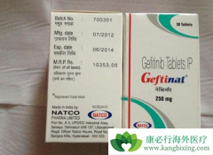 ����ɳ(Gefinat)���ù����з����Ƴ����½�˵����ҩ����