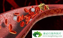 ���ܶ�֬���׵��̴�������������ЩΣ����