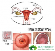 �շ���������������Щ��������֢״������ʲô��