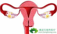 ���������ѳ����ȸ����������ڻ�����Щ����֢״��