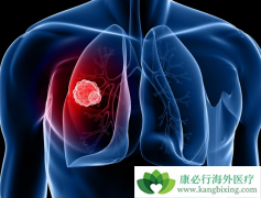 ��ͬʱ�ڵ�Сϸ���ΰ�������������ͬ