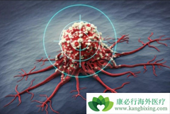 ʲô�Ƿΰ��۰����������ķΰ������к�����