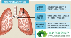 Сϸ���ΰ�����Ŀǰȡ������Щ��չ��